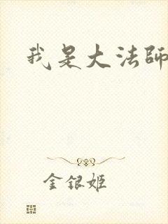 我是大法师封面