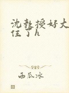 沈教授好大含不住了h