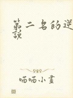 第二名的逆袭小说