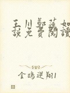 王川郑莲如的小说免费阅读全文