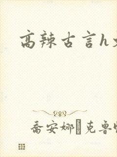 高辣古言h文