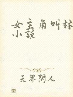 女主角叫林慧的小说