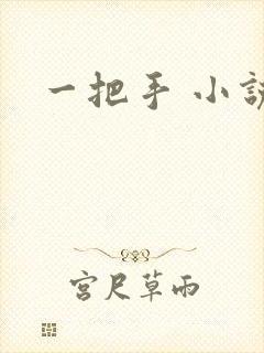 一把手 小说