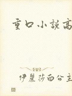 重口小说高h封面