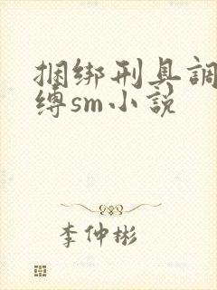 捆绑刑具调教束缚sm小说封面