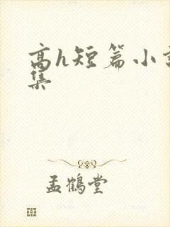 高h短篇小说合集