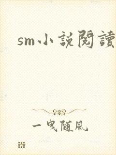 sm小说阅读