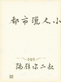 都市猎人小说封面