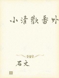 小清欢番外封面