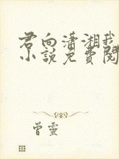 君向潇湘我向秦小说免费阅读