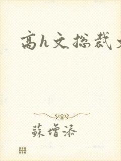 高h文总裁文
