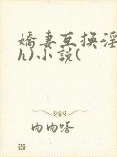娇妻互换淫欢(h)小说(封面