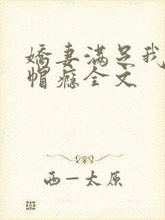 娇妻满足我的绿帽瘾全文