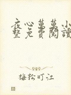 夜心万万小说完整免费阅读全文