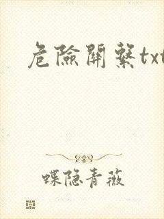 危险关系txt封面