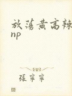 放荡黄高辣h文np