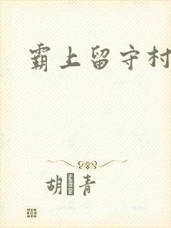 霸上留守村妇封面