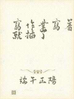 写作业写着写着就插了