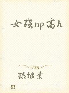 女强np高h封面