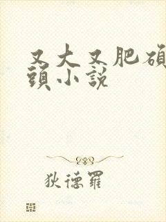 又大又肥硕的奶头小说