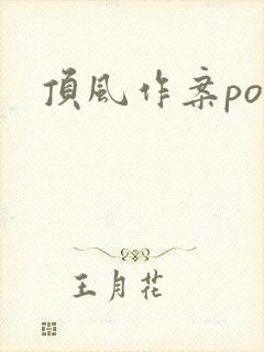 顶风作案po封面