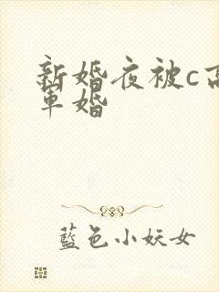 新婚夜被c高h军婚