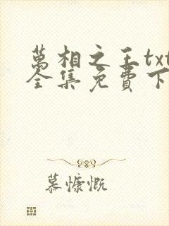万相之王txt全集免费下载