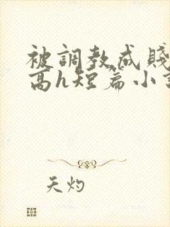 被调教成贱奴的高h短篇小说推荐