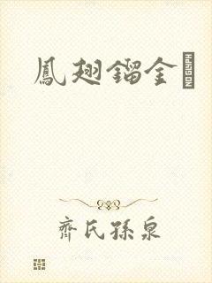 凤翅镏金镋封面