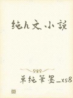 纯h文小说