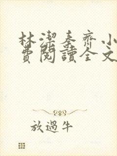 林洁秦齐小说免费阅读全文最新章节封面