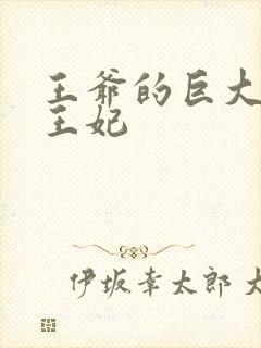 王爷的巨大进入王妃封面