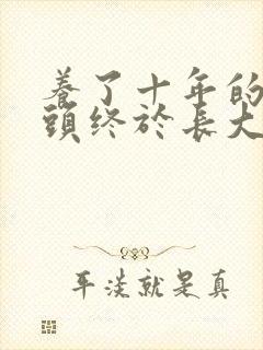 养了十年的小丫头终于长大了