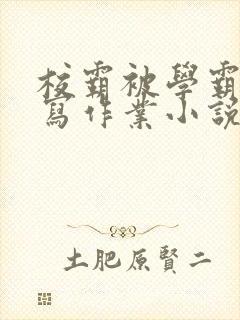 校霸被学霸压着写作业小说封面