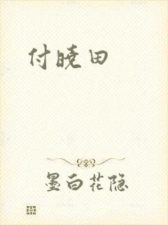付晓田
