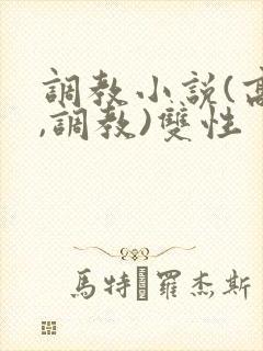 调教小说(高h,调教)双性