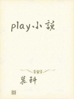 play小说