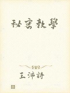 秘密教学