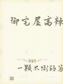 御宅屋高辣h文封面