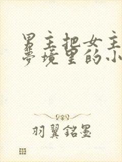 男主把女主拖进梦境里的小说