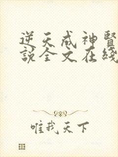 逆天成神贤君小说全文在线阅读封面