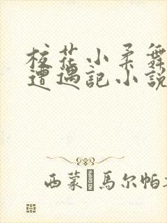 校花小柔舞蹈室遭遇记小说