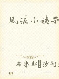 风流小姨子封面