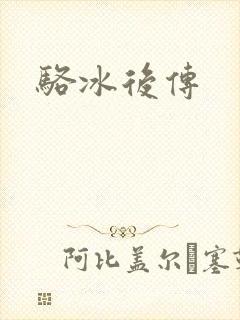 骆冰后传封面