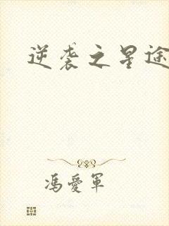逆袭之星途闪耀