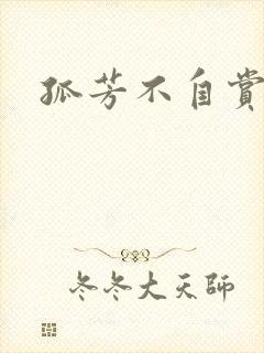 孤芳不自赏小说