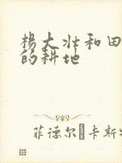 杨大壮和田桂花的耕地