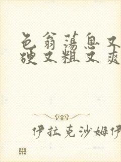 色翁荡息又大又硬又粗又爽