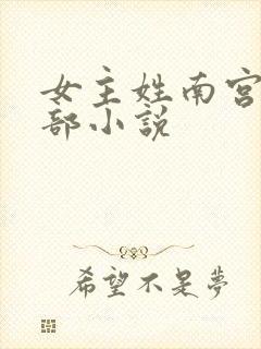 女主姓南宫的全部小说封面