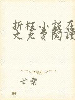 折枝小说在线全文免费阅读无弹窗